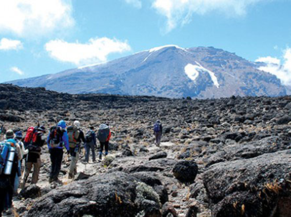 rekkers hiking on the Mount Kilimanjaro
