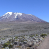 A distant view of Mount Kilimanjaro under clear skies, showcasing the snow-capped summit along the Lemosho Route