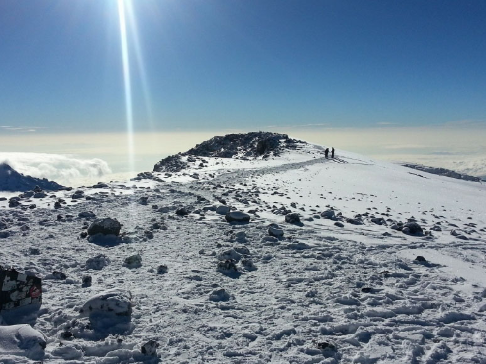 Lemosho Route during the 8 Days 7 Nights Mount Kilimanjaro Climb