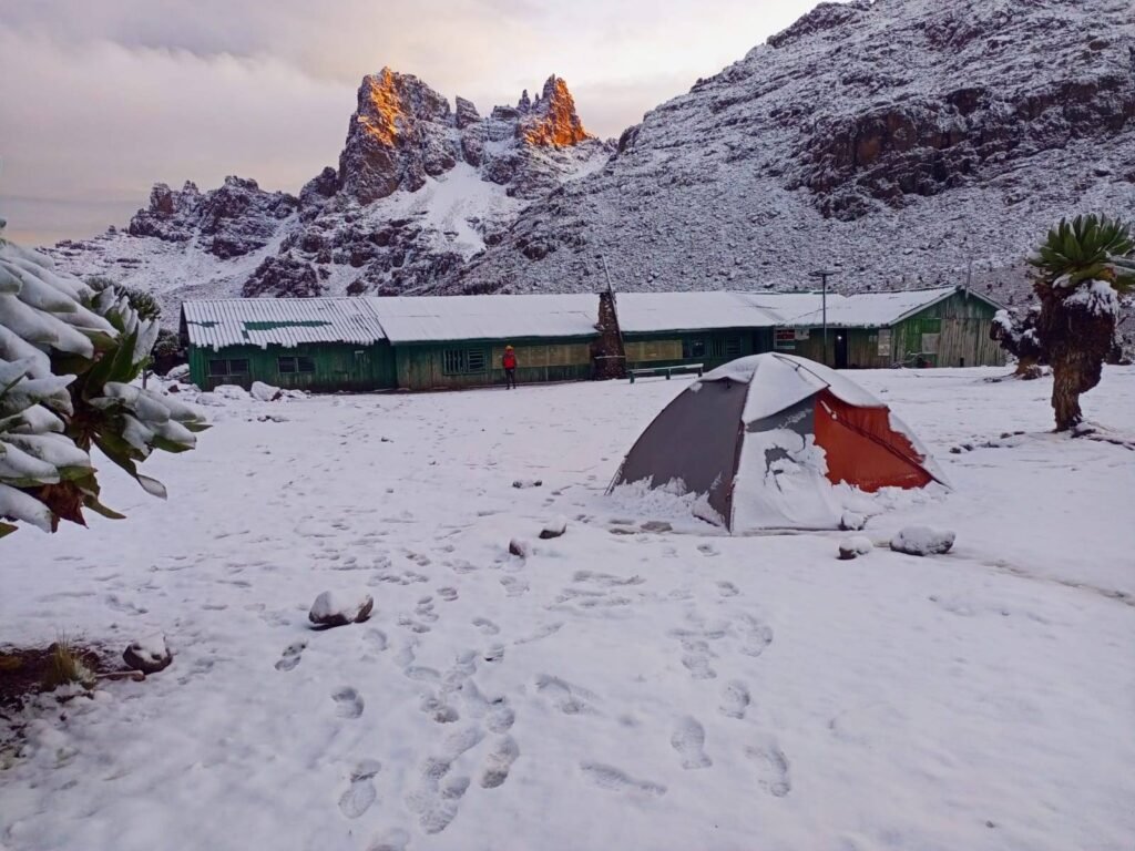 Tent pitched at Shipton’s Camp, Mt. Kenya with sunrise — adventure tours by Wild Pro Adventures