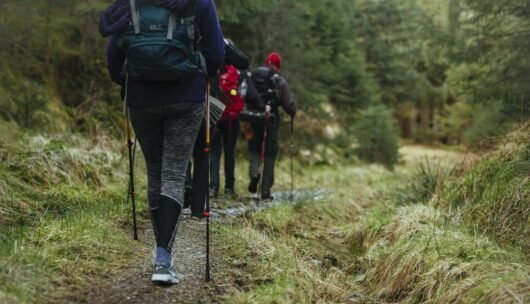 Group of hikers on a trail showcasing essential gear for a hikers starter pack.